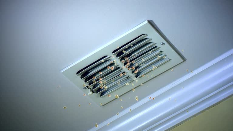 Best Commercial Air Duct Cleaning  in Providence Village, TX